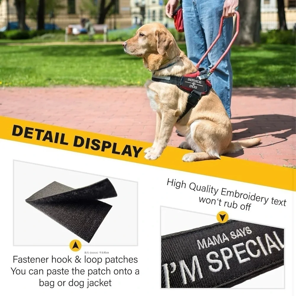 N/A service dog